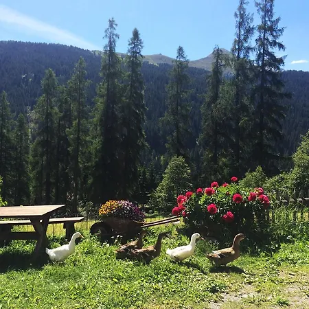 Bnb Guesthouse Lusi