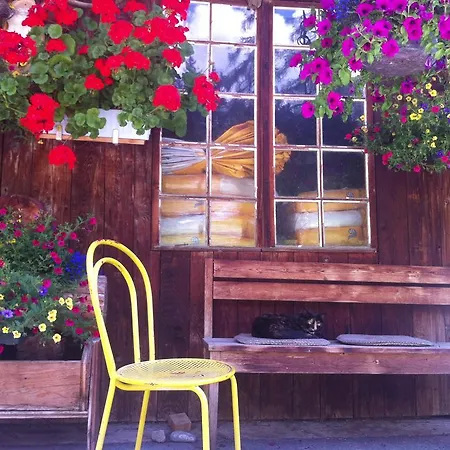 Bnb Guesthouse Lusi