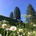Bnb Guesthouse Lusi Апартаменты