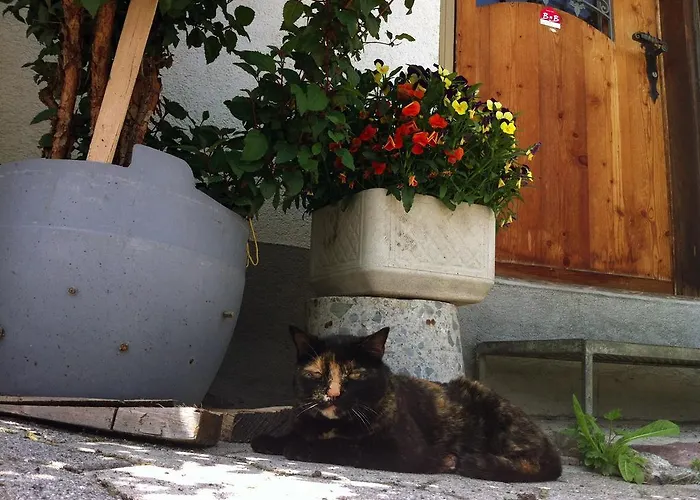 Apartment Bnb Guesthouse Lusi